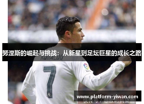 努涅斯的崛起与挑战：从新星到足坛巨星的成长之路